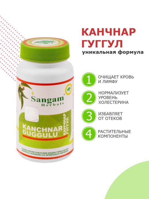 Kanchnar Guggulu - Image 2